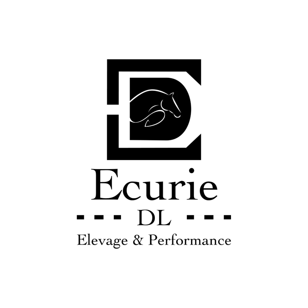 ecurie dl x viloe communication