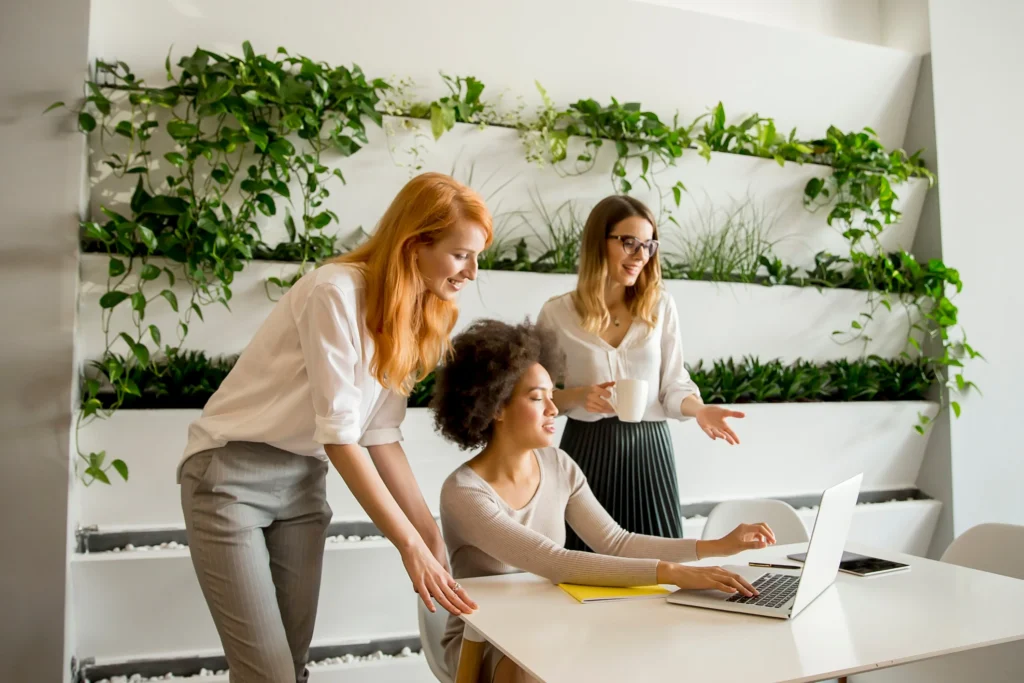 viloe communication agence communication toulouse